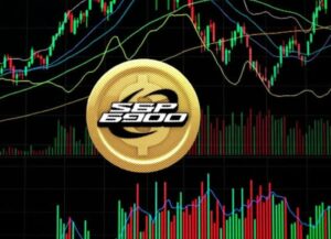 What is SPX6900 Coin