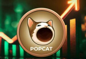 Popcat's price