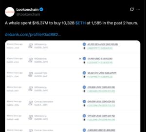 Ethereum Whale Purchases