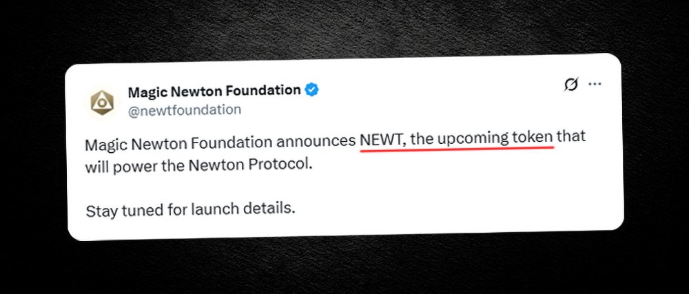 Magic Newton Token