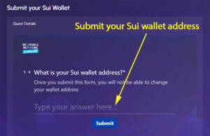 Sui Wallet