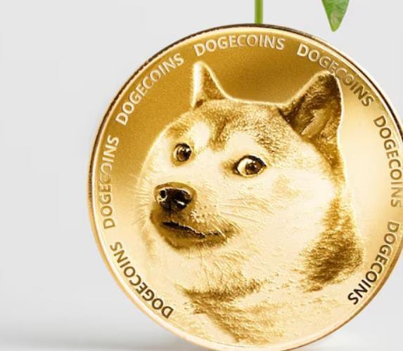 Can Dogecoin Hit $5? 7 Triggers That Could Fuel