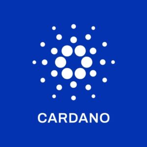 Cardano Founder Charles Hoskinson Proposes $100M Bitcoin and DeFi Investment Fund