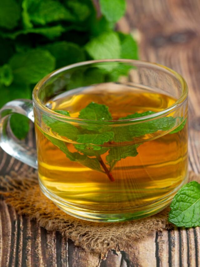 6 key benefits of drinking Tulsi tea during the monsoon: